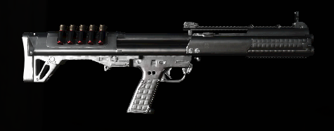 KSG12