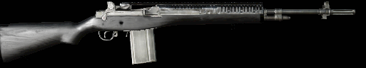 M21 Railed 7.62x51